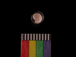 L_V22d5964 A1q1019.4 T922 dM sh f113.JPG.jpg L_V22d5964 A1q1019.4 T922 dM sh f113.JPG